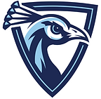 Upper Iowa University
