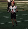Pannell