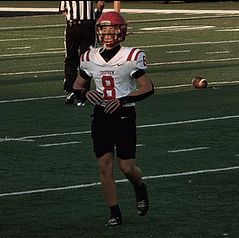 Pannell